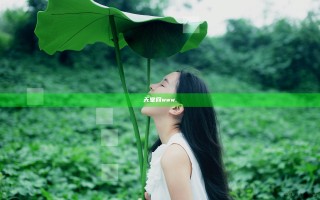 天堂网www.