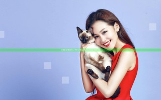 怪物猎人世界冰原DLC开荒太刀怎么选 冰原DLC开荒太刀推荐一览