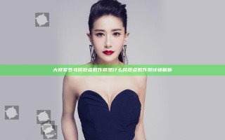 大将军罗马民政点数作用是什么 民政点数作用详情解析