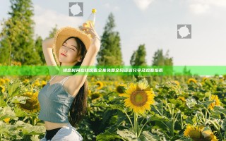 初恋时间在线观看全集免费全网资源分享及观看指南