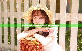 混乱小镇bug分析与解决方案提升游戏体验的最佳策略