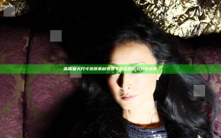 高质量大尺寸视频素材免费下载 优质视效轻松获取