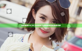 获取最新PICACG安装包下载教程和安装指南详解