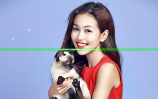 色欲AV精品亚洲AV高清茉莉最新动态与精彩作品赏析精彩内容不容错过
