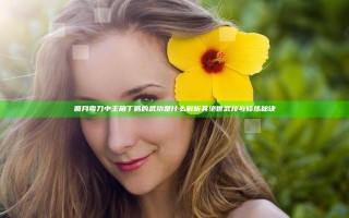 圆月弯刀中主角丁鹏的武功是什么 解析其绝世武技与修炼秘诀