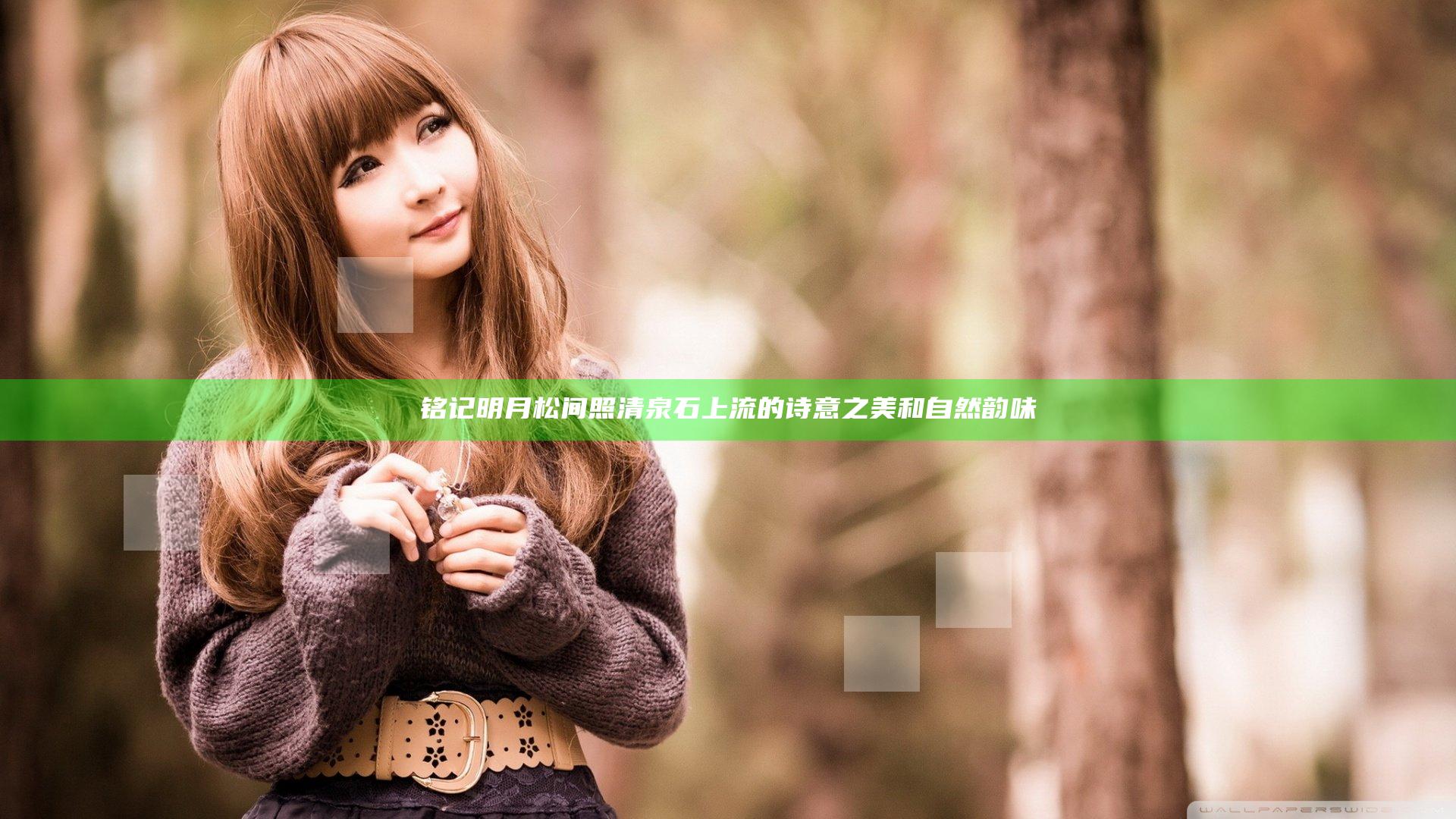 铭记明月松间照清泉石上流的诗意之美和自然韵味