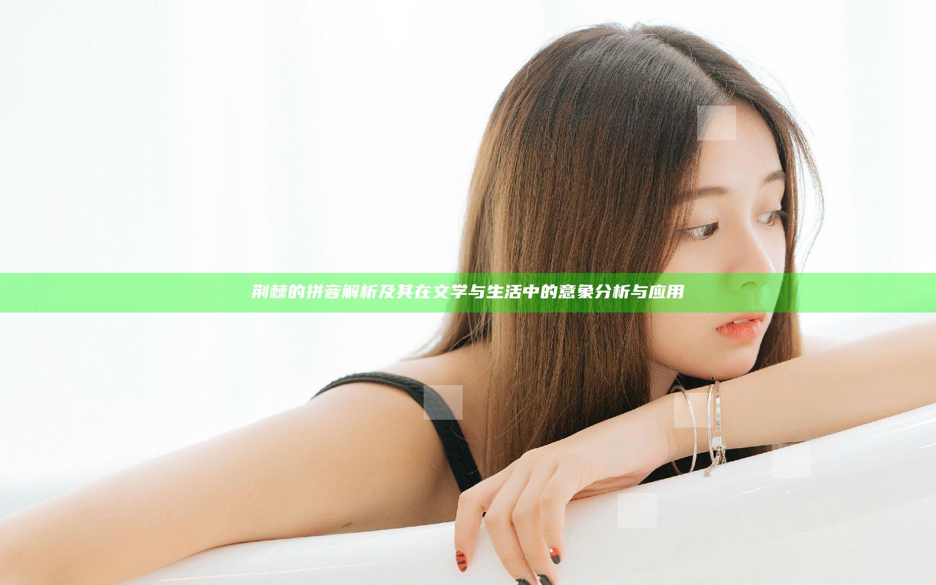 荆棘的拼音解析及其在文学与生活中的意象分析与应用