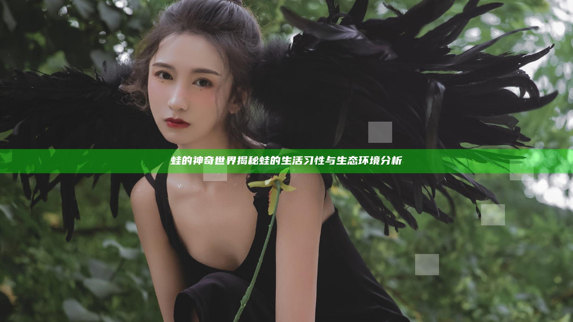 蛙的神奇世界揭秘 蛙的生活习性与生态环境分析